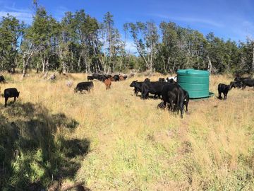 Campo en Corcovado Provincia de Chubut