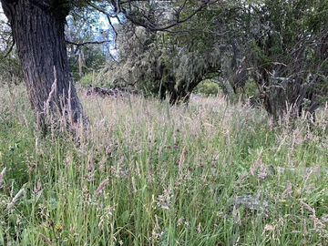 Campo en Corcovado Provincia de Chubut