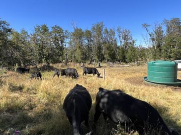 Campo en Corcovado Provincia de Chubut