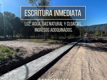 BOSQUECILLO - BARRIO DE MONTAÑA