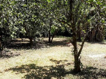 VENTA/PERMUTA - Casa quinta 3 dormitorios - Roldán, Santa Fe.