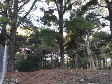 Terreno en venta - 500mts2 - Nueva Atlantis