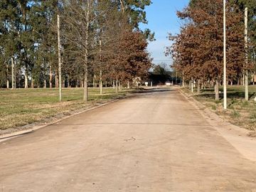 BRISAS DEL PARANA