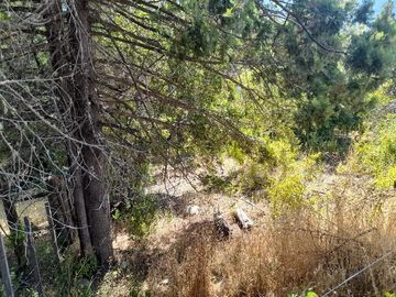Chacra en Lago Puelo