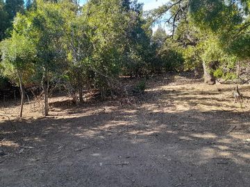 Chacra en Lago Puelo