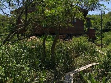 Casa en venta - 3 dormitorios 1 baño - 1600mts2 - Tigre