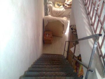 Quinta - Longchamps