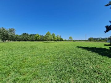 Quinta en venta en La Plata - Dacal Bienes Raíces