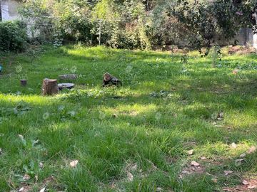 Venta casa en San José de la Montaña, Huitzilac, Morelos - V357