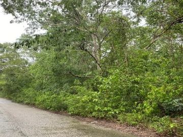 Terrenos de 6 HA en Venta en Hacienda Tamchen