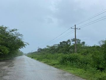 Terrenos de 6 HA en Venta en Hacienda Tamchen