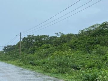 Terrenos de 6 HA en Venta en Hacienda Tamchen