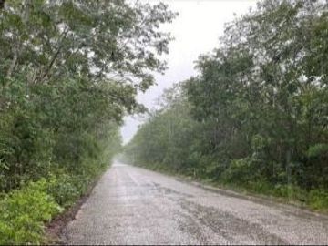 Terrenos de 6 HA en Venta en Hacienda Tamchen