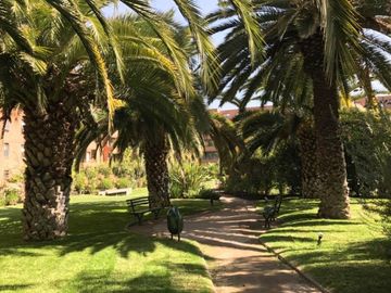 CAMINO TURISTICO/RAUL LABBE