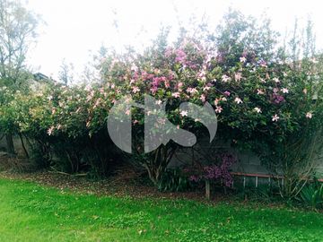 CASA EN VENTA SECTOR CAPULISPAMBA - CUENCA