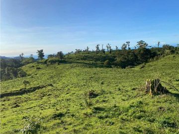 VENDO FINCA DE 368 HECTAREAS COORDILLERA