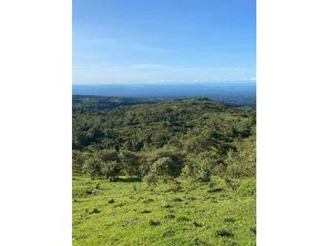 VENDO FINCA DE 368 HECTAREAS COORDILLERA