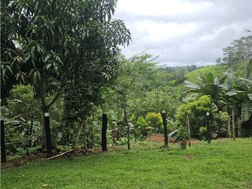 Finca en venta 12 Has en Capira Trinidad - con Casa Campestre  (DR)