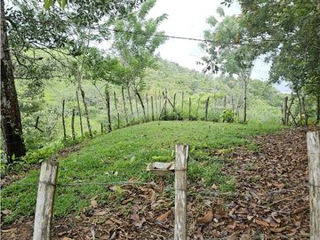 Finca en venta 12 Has en Capira Trinidad - con Casa Campestre  (DR)