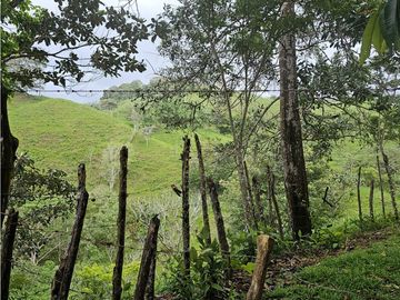 Finca en venta 12 Has en Capira Trinidad - con Casa Campestre  (DR)