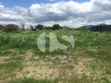VENTA DE TERRENO FRENTE AL MAR VÍA PEDERNALES COJIMIES