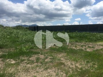 VENTA DE TERRENO FRENTE AL MAR VÍA PEDERNALES COJIMIES