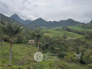 Casa campestre en venta, Montaño, Villamaría