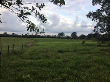 Se vende Finca en Restrepo