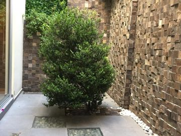 VENTA CASA EN PRIVADA - AV. JUÁREZ - CONTADERO