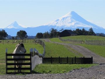 Parcela en Venta en Llanquihue