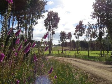 Parcela en Venta en Llanquihue