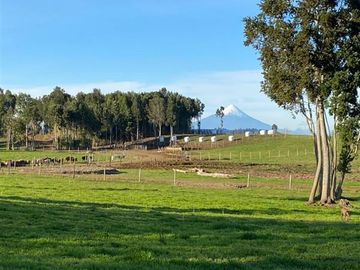 Parcela en Venta en Llanquihue