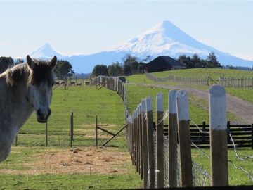 Parcela en Venta en Llanquihue