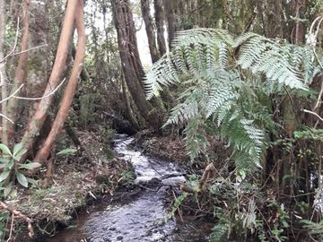 Parcela en Venta en Llanquihue