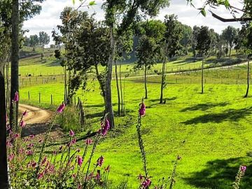Parcela en Venta en Llanquihue