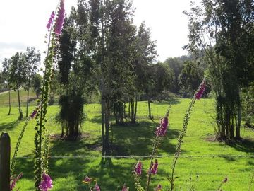 Parcela en Venta en Llanquihue