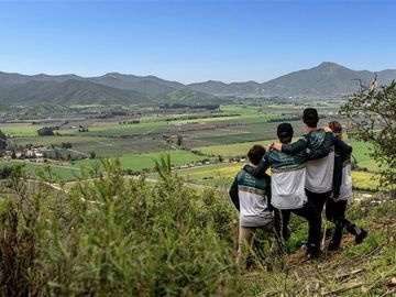 Parcela en Venta en tapihue