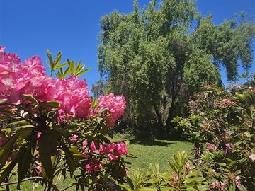 Casa en Venta en Doña Isidora