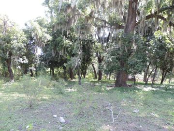 OPORTUNIDAD! 370 Hectáreas de Rancho con Casco de Hacienda (Negociable) SLP