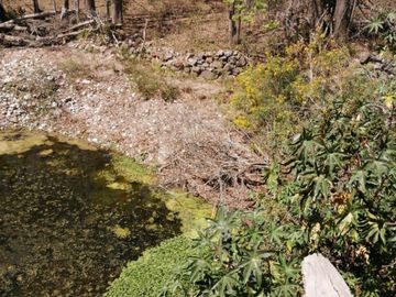 OPORTUNIDAD! 370 Hectáreas de Rancho con Casco de Hacienda (Negociable) SLP