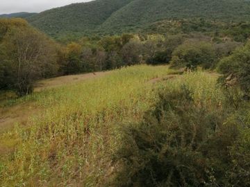 OPORTUNIDAD! 370 Hectáreas de Rancho con Casco de Hacienda (Negociable) SLP
