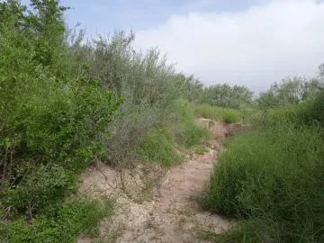 Terreno en venta en García Centro, García, Nuevo León