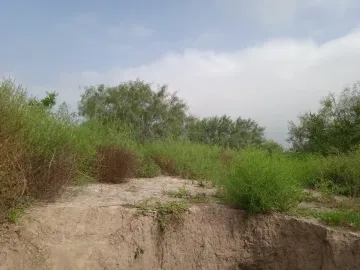 Terreno en venta en García Centro, García, Nuevo León