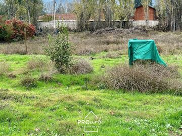 Parcela en Venta en Venta Parcela de Terreno Plano 6.235 m2, Lomas del Aguila, Champa, Paine