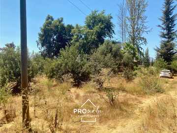 Parcela en Venta en Venta Parcela de Terreno Plano 6.235 m2, Lomas del Aguila, Champa, Paine