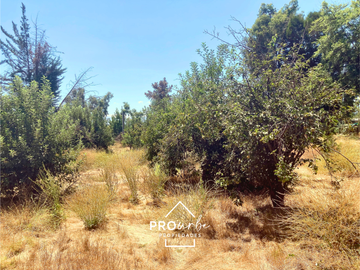 Parcela en Venta en Venta Parcela de Terreno Plano 6.235 m2, Lomas del Aguila, Champa, Paine