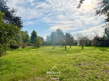 Parcela en Venta en Venta Parcela de Terreno Plano 6.235 m2, Lomas del Aguila, Champa, Paine