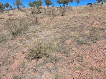 SE VENDE TERRENO FRACC. CAMPESTRE 