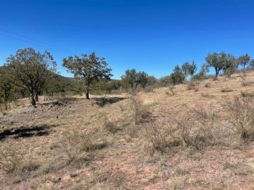 SE VENDE TERRENO FRACC. CAMPESTRE 