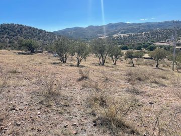 SE VENDE TERRENO FRACC. CAMPESTRE 